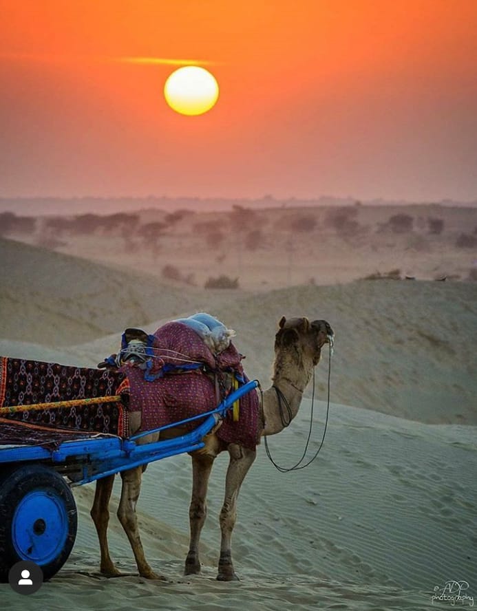 desert safari in jaisalmer